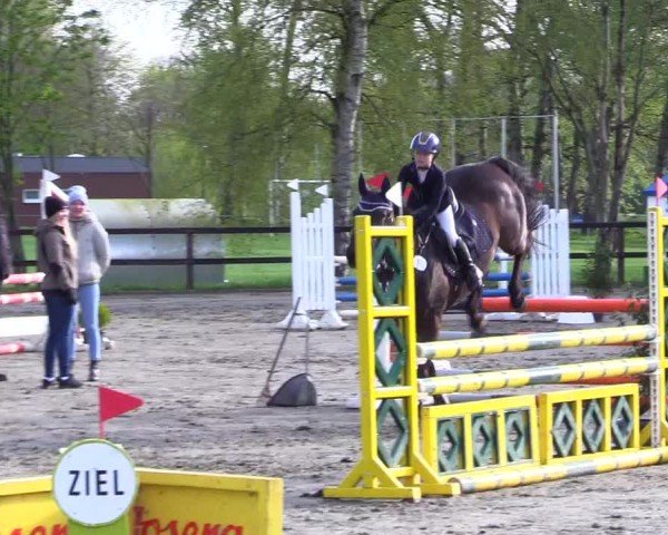 Reitturnier Leck 2024