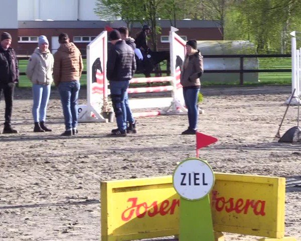 Reitturnier Leck 2024