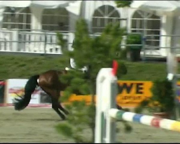 Vosswinkeler Reitertage CSN 2011