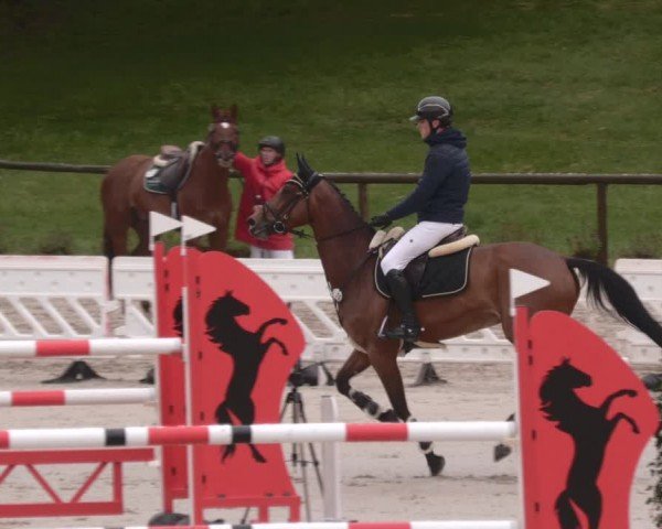 Reitturnier Tübingen 2024
