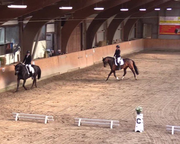 Reitturnier Leck 2024