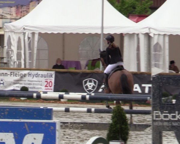 Reitturnier Werne-Lenklar 2024