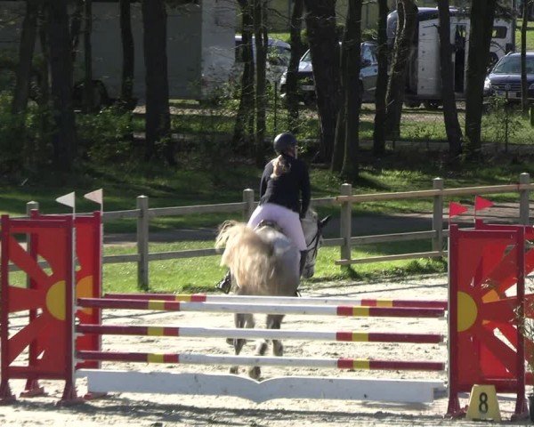 Reitturnier Westergellersen 2024