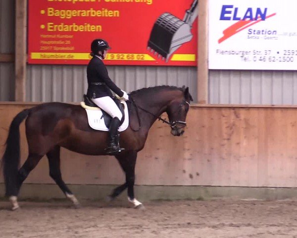 Reitturnier Leck 2024