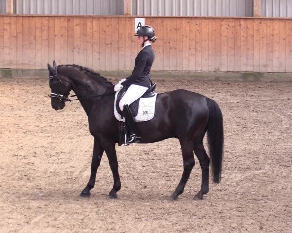 Reitturnier Leck 2024