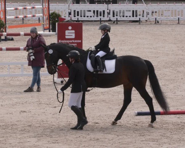 Reitturnier Tübingen 2024