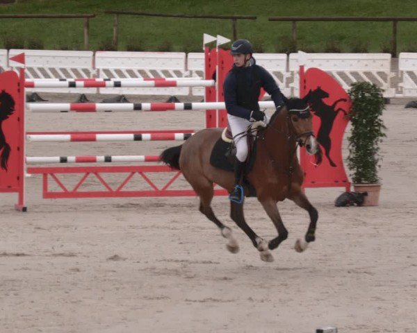 Reitturnier Tübingen 2024