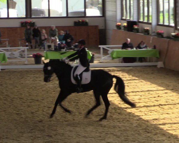 Lenklarer Reitertage Werne 2024