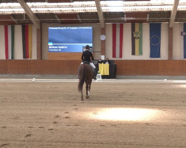 Reitturnier Weikersdorf am Steinfelde 2024