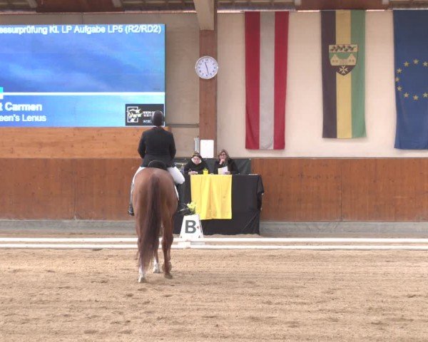 Reitturnier Weikersdorf am Steinfelde 2024