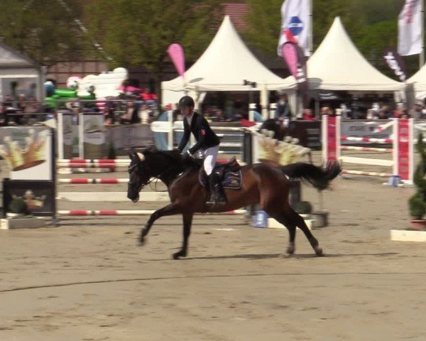 Reitturnier Werne-Lenklar 2024