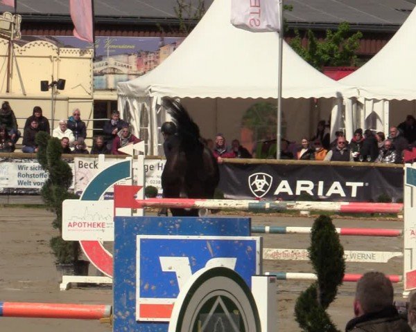 Lenklarer Reitertage Werne 2024