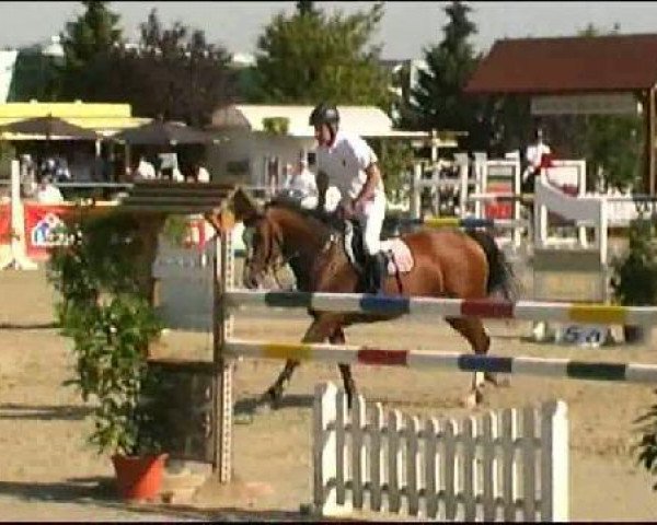 Vosswinkeler Reitertage CSN 2011
