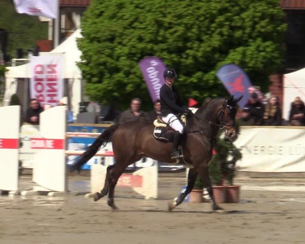 Lenklarer Reitertage Werne 2024