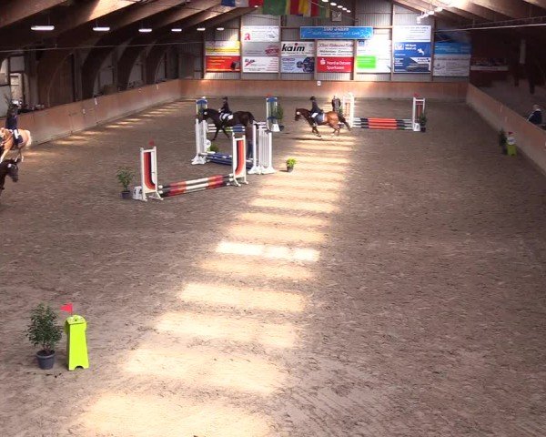 Reitturnier Leck 2024