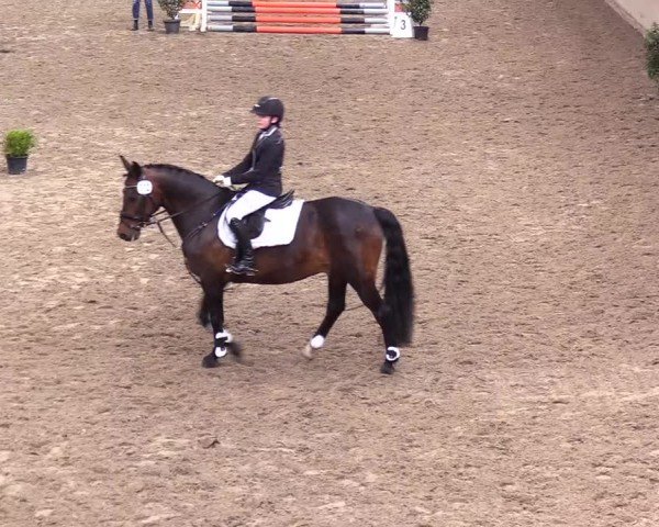 Reitturnier Leck 2024
