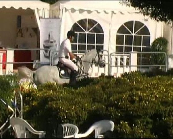 Vosswinkeler Reitertage CSN 2011