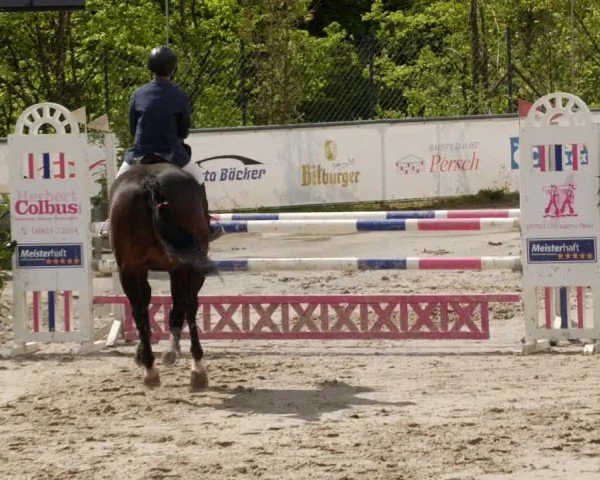 Reitturnier Neunkirchen-City 2024