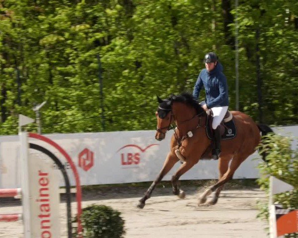 Reitturnier Neunkirchen-City 2024