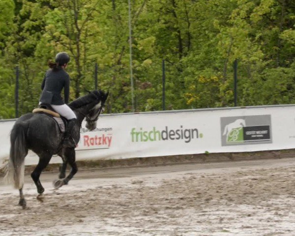 Reitturnier Neunkirchen-City 2024