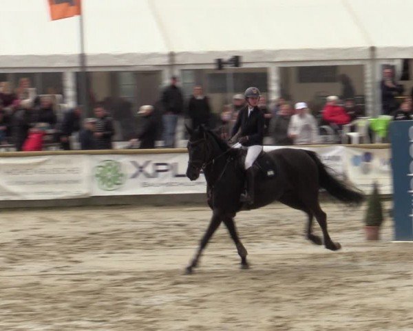 Lenklarer Reitertage Werne 2024