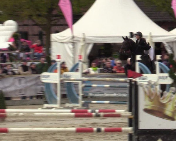 Lenklarer Reitertage Werne 2024