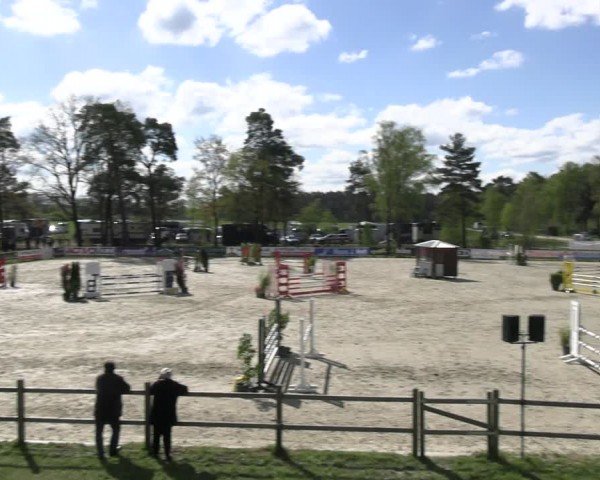 Reitturnier Westergellersen 2024