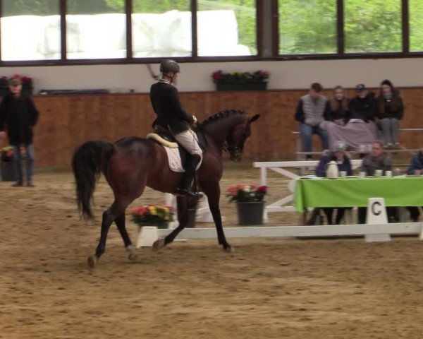 Reitturnier Werne-Lenklar 2024