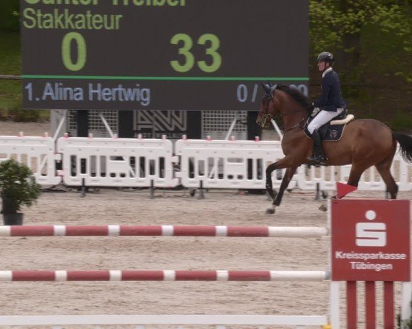 Reitturnier Tübingen 2024