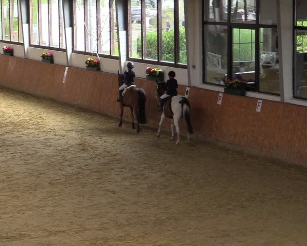 Reitturnier Werne-Lenklar 2024
