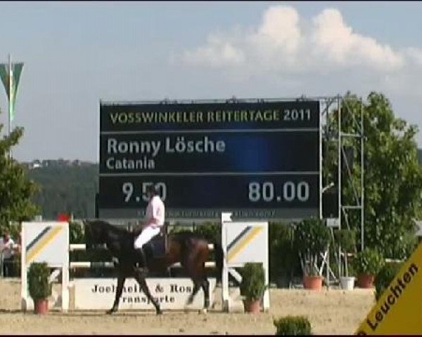 Vosswinkeler Reitertage CSN 2011