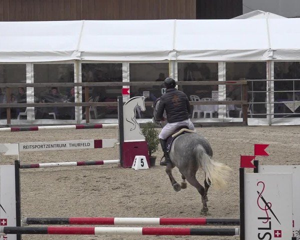 Reitturnier Sulgen 2024