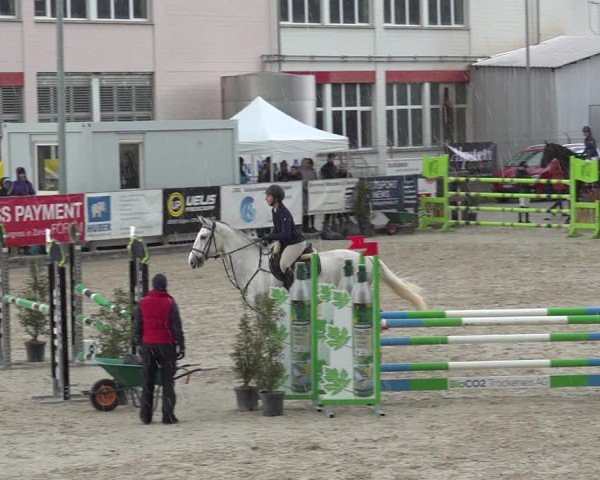 Reitturnier Sulgen 2024