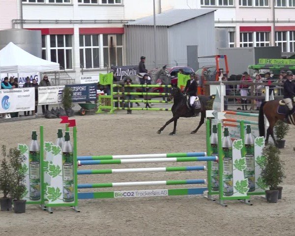 Reitturnier Sulgen 2024