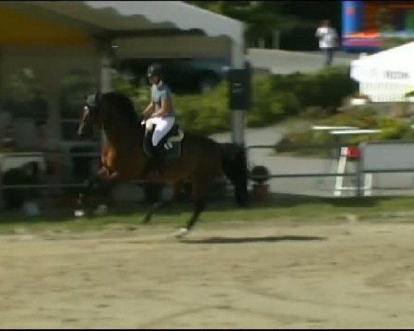 Vosswinkeler Reitertage CSN 2011