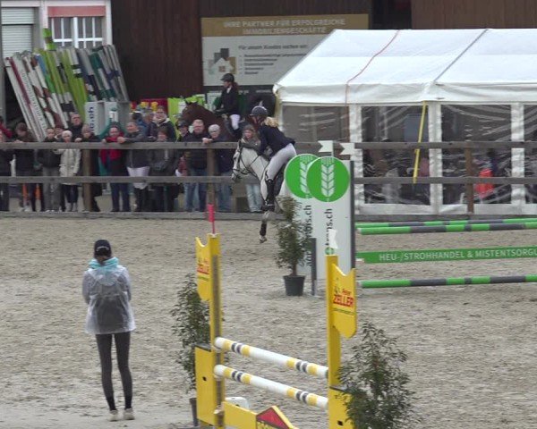Reitturnier Sulgen 2024