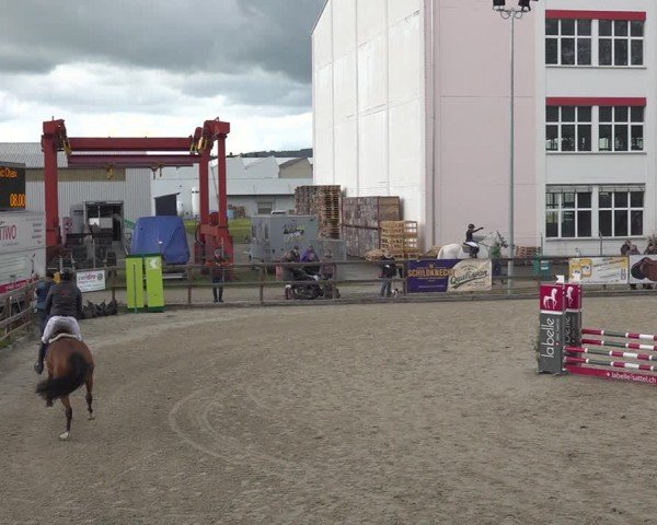 Reitturnier Sulgen 2024