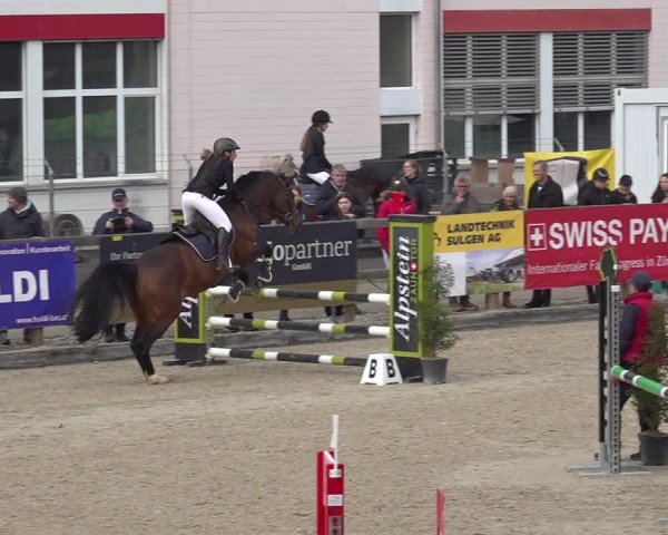 Reitturnier Sulgen 2024