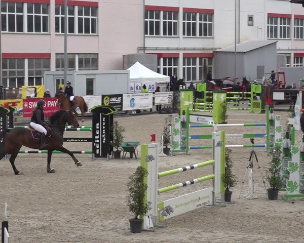 Reitturnier Sulgen 2024