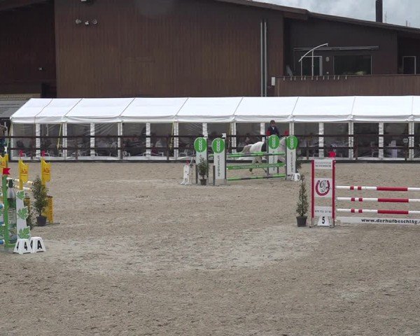 Reitturnier Sulgen 2024