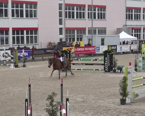 Reitturnier Sulgen 2024
