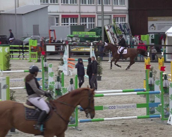 Reitturnier Sulgen 2024