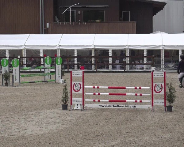 Reitturnier Sulgen 2024
