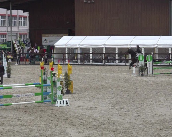 Reitturnier Sulgen 2024