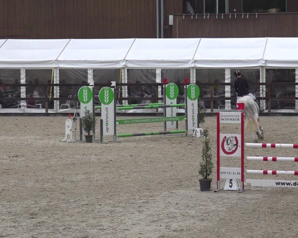 Reitturnier Sulgen 2024