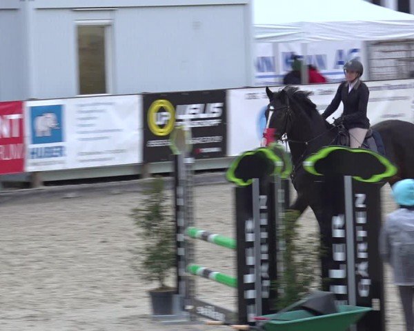 Reitturnier Sulgen 2024