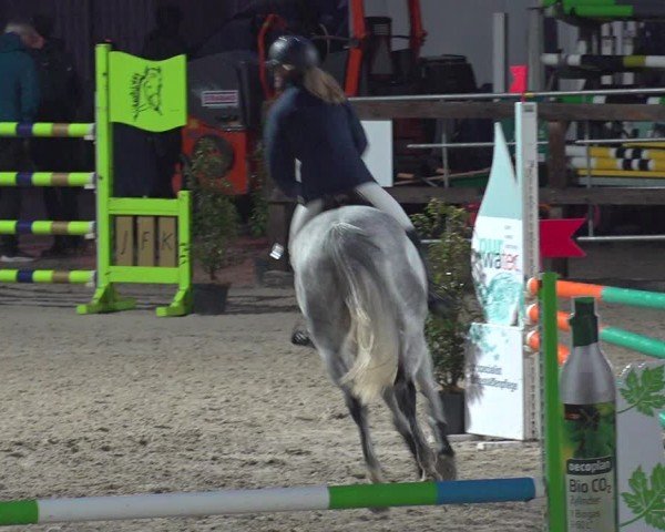 Reitturnier Sulgen 2024