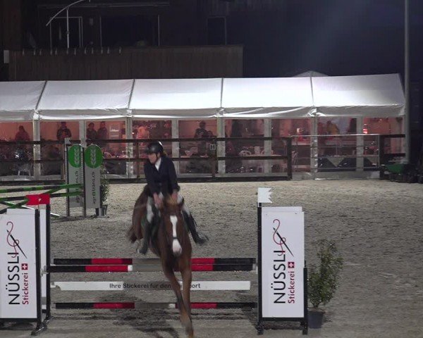 Reitturnier Sulgen 2024