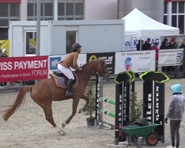 Reitturnier Sulgen 2024