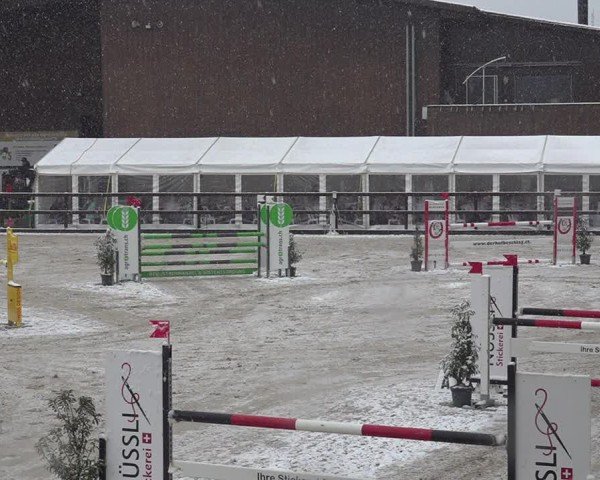 Reitturnier Sulgen 2024